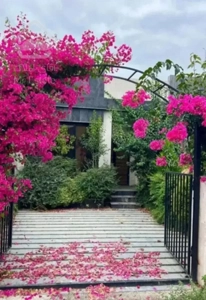 باغچه مدرن175زمین/80بنا/2خواب/شهرک بنفشه/سنددار
