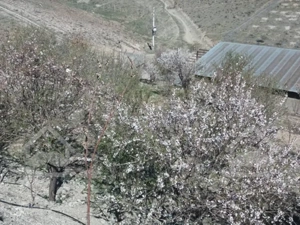 فوق العاده مناسب برای سرمایه گذاری زیر قیمت بازار