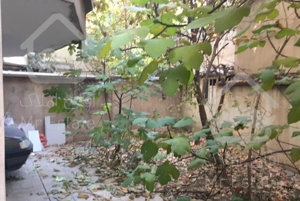 91متر 2خواب دزاشیب *قدرالسهمی*کلید نخورده