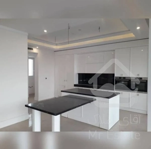 اجاره 160 متری هروی