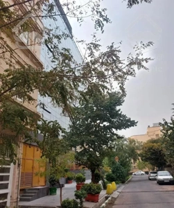 آپارتمان ۸۵متری،فول بازسازی