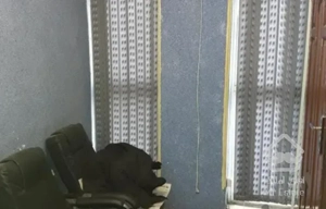 اجاره مغازه و غرفه مغازه ۶۰ متر