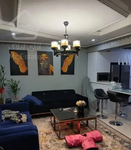 ۵۵متر اپارتمان شیک دربهترین لوکیشن خ شیخ بهایی