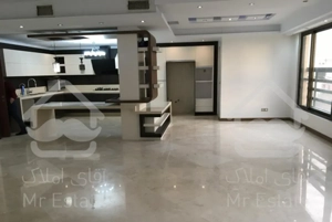 ۱۵۵ متر تک واحدی ونک شیراز شمالی