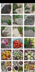 خانه باغ سه طبقه