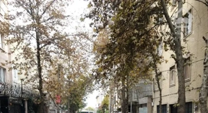 مهرشهر بلوار ارم