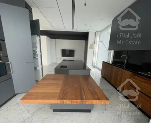 300متر/مدرن/تاپ لوکیشن نیاوران