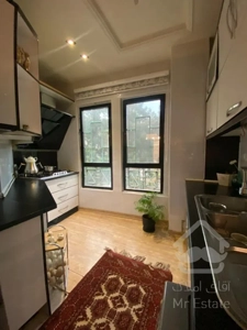 فروش 120 متری دولت