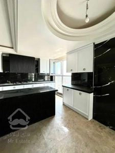 ۲۲۰ متر ویو ابدی فول مشاعات نیاوران