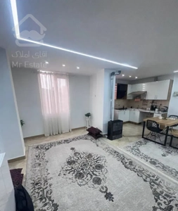۵۴ متر/ پذیرایی پنجره خور/ سند تکبرگ