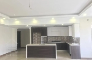 اپارتمان ۲۳۲ متری شخصی ساز دریاچه چیتگر