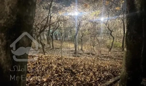 مرزداران -162متری -- قدرالسهم دارد