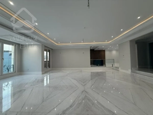 فروش اپارتمان 242 متری محمودیه