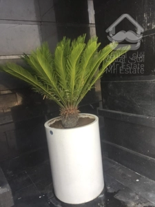 فروش واحدهای ۴۰ متری / اقساطی / ویو ابدی