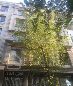 پونک بلوار کمالی ۱۵۰ متر سه خوابه