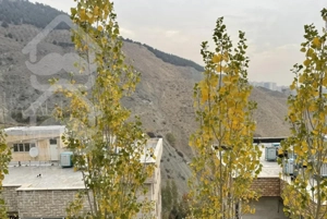 آپارتمان واقع در بلوار اوشان اقدسیه محک