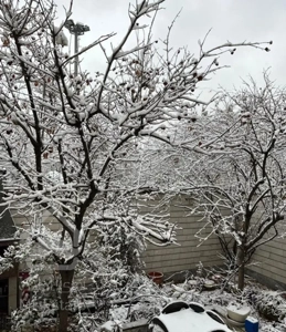 ۷۰متر/دوبلکس/۵۰مترحیاط اختصاصی/عادل زاده