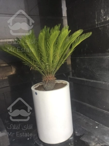 خرید ملک ۵۰ متری اقساطی ویو ابدی