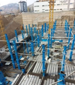 رحیم قربانی دیوان عدالت/رونیکا تهرانسر