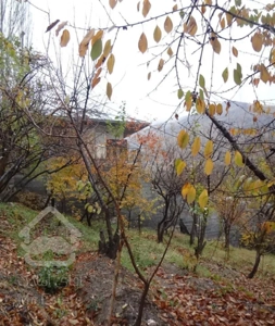 ویلا باغ.متراژ ۵۵۰.یک خوابه