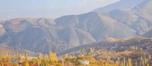 ۴۵۰ متر زمین در امامه