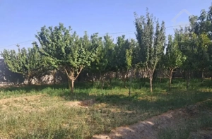 باغ ۸۰۰متری در اصفهان