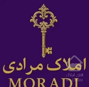 پیشکسوتان نیرو مصلح پیامبراعظم فروش