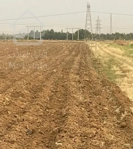 زمین رو به روی بافه