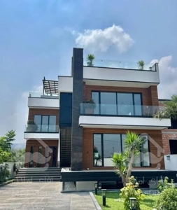 مدرن و  سند تک برگ در چمستان