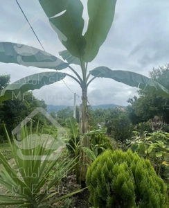 ۴۰۰ متر زمین با بنای کلنگی کارکو