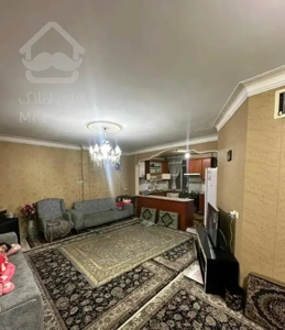 ۶۵ متر/ خیابان پهن با دسترسی فوق العاده