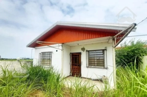 ویلا باغ۱۴۰مترزمین۸۰متربنا