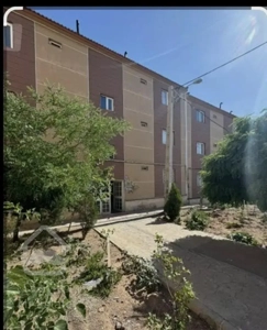 واحد پرند مپسا ۵/ تک خواب
