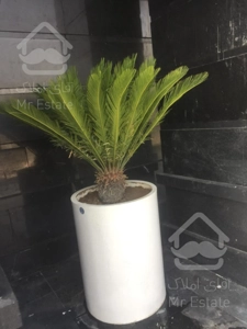 واحدهای ۴۰ متری / اقساطی / قطعی