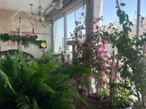 فروش اپارتمان 230 متری ولنجک