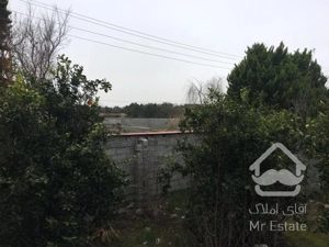 زمین ساحلی سرخرود /خط دریا