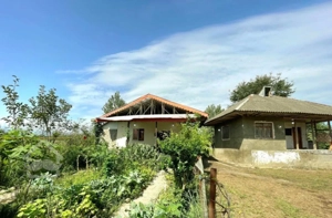 ۲خانه ویلایی با۱۵۰۰مترزمین/باسندتک برگ ۶دانگ/ بکر