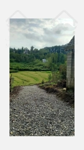 زمین ۶۰۰ متری