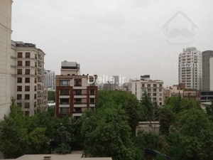 بهترین کلنگی منطقه زعفرانیه