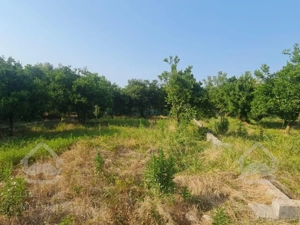 242متر زمین واقع در چناربن تنکابن