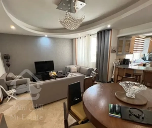 ۸۰ متری دیباجی جنوبی ، اختیاریه