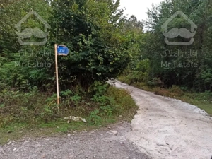 شخصی ویلا جنگلی