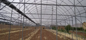 سازه گلخانه ۱۵۰۰ مترمربع جهت فروش