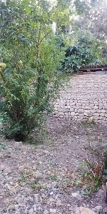 فروش خانه باغ  روستایی