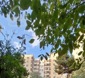 دارآباد ۱۴۰ متر ۳خواب + ۹۲ متر قدرالسهم