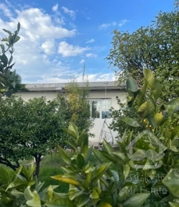 خونه باغ۵۰۰متری٪قیمت واقعی ۵۰متربنانیمه کاره٪اقساط