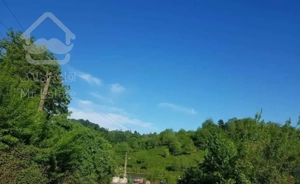 295متر زمین مسکونی با پروانه