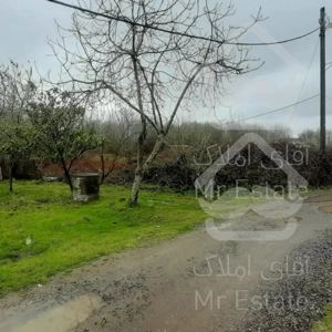 فروش فوری تخفیف پایه معامله