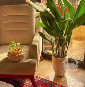 اپارتمان ۶۰متری ویو ابدی دریاچه