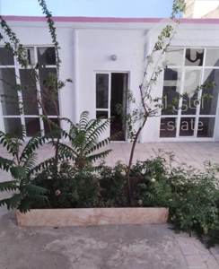 حیاط ۱۰۳ متر منجم .ماشین نرو. علی سیاهپوش